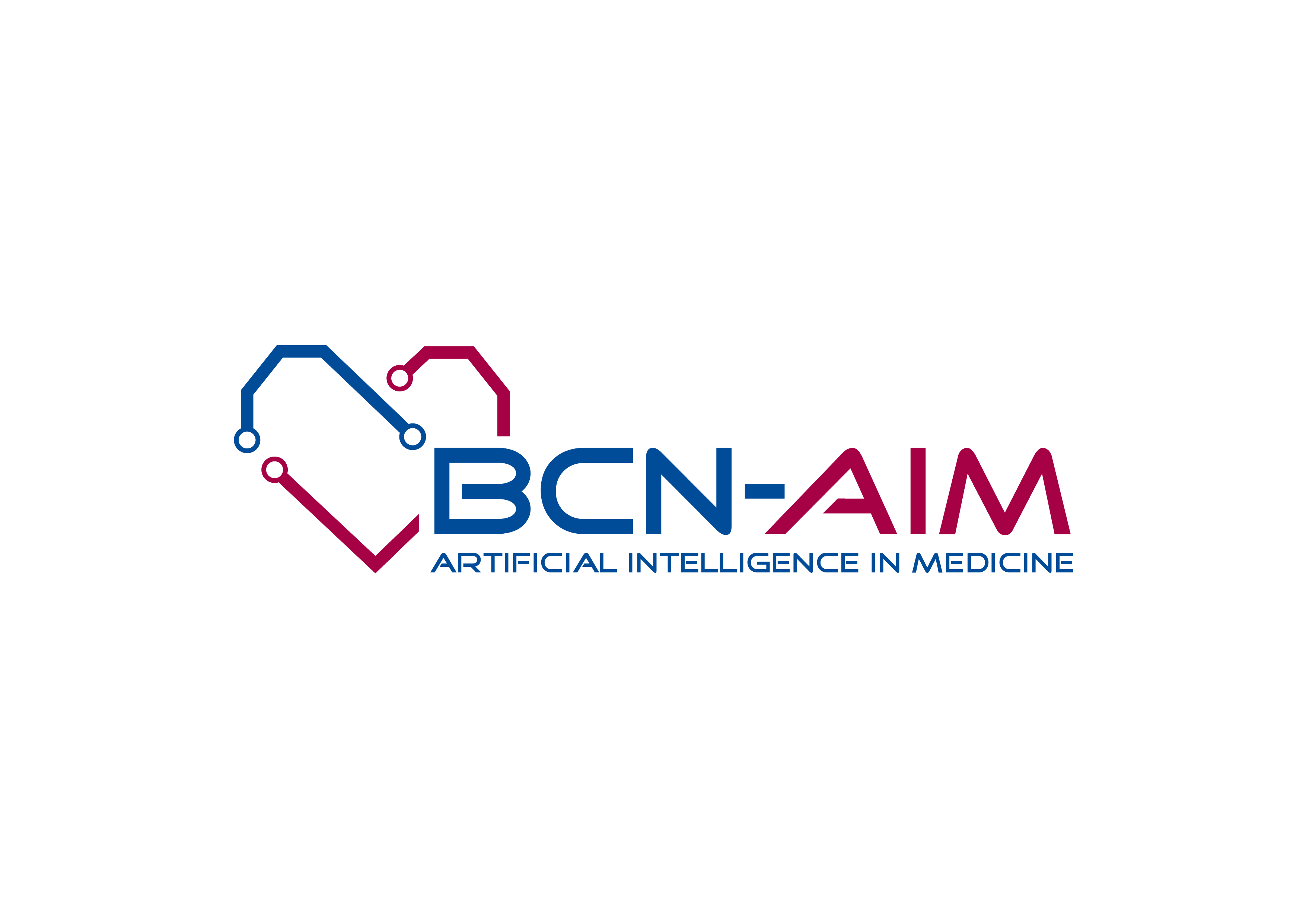 Karim Lekadir, Director of the BCNAIM lab is awarded ICREA research professor position BCNAIM