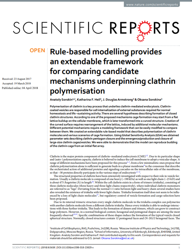 Rule-based modelling provides an extendable framework for comparing candidate mechanisms underpinning clathrin polymerisation