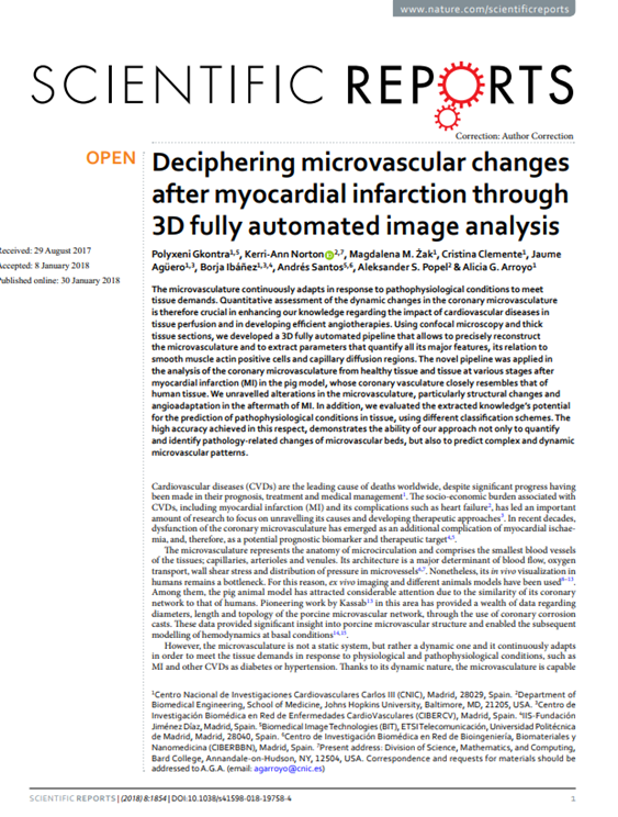 Deciphering microvascular changes after myocardial infarction through 3D fully automated image analysis