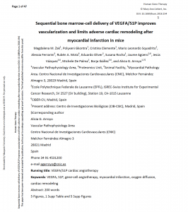 Sequential Bone-Marrow Cell Delivery of VEGFA/S1P Improves Vascularization and Limits Adverse Cardiac Remodeling After Myocardial Infarction in Mice